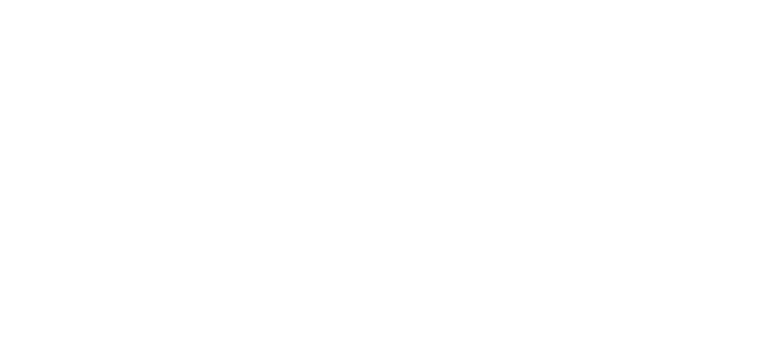 LinguaGuard